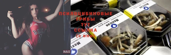 бутират Бугульма