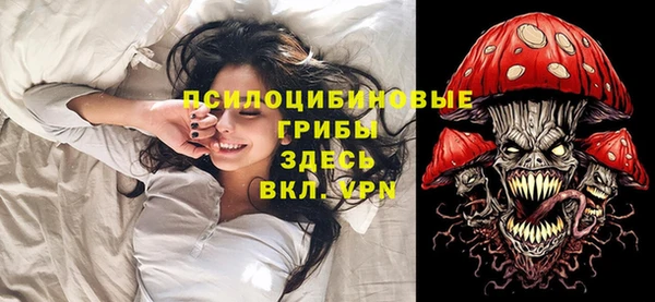 МДМА Бородино