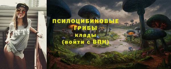 МДМА Бородино