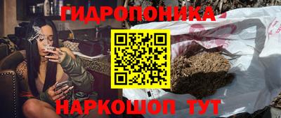 jwh Гай