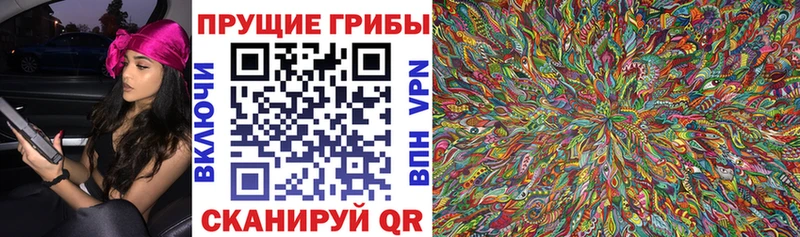Галлюциногенные грибы MAGIC MUSHROOMS Северск