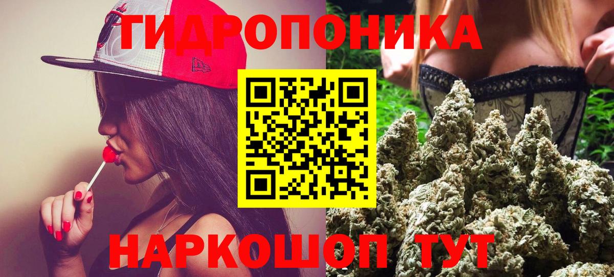 Бошки марихуана Ganja Северск